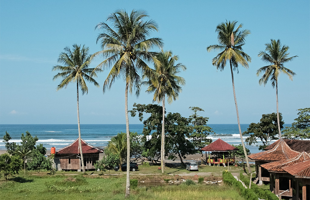 Trip Bengkulu: SPBU Tanpa Antri - View pagi dari kamar kami: Estate di bibir pantai...