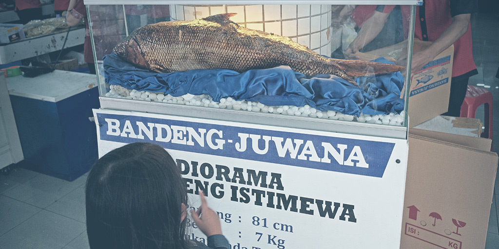 Keep Calm and Go To Semarang - Diorama, Bandeng Juwana Elrina, Pamularsih Semarang