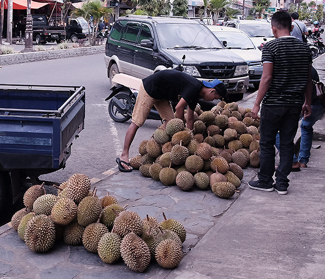 Petualangan 2000km: Pulang dan Bau Durian - Pengepul durian
